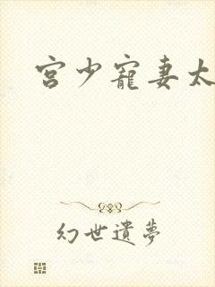 宫少宠妻太凶猛