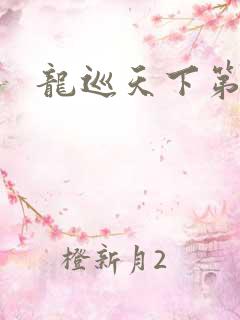 龙巡天下第四部