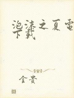 泡沫之夏电视剧下载