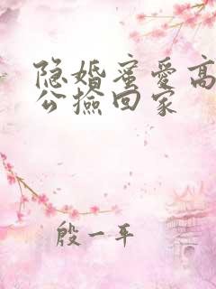 隐婚蜜爱高冷老公捡回家