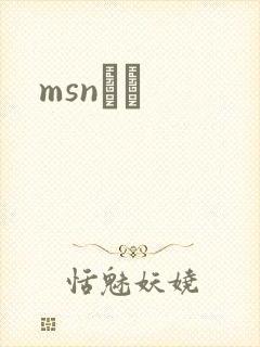 msnС˵