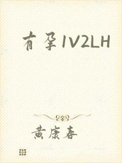 有孕1V2LH