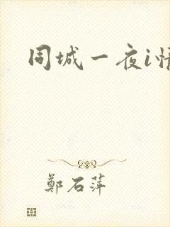 同城一夜i情
