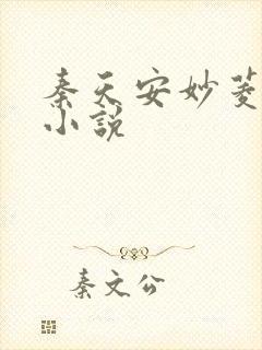 秦天安妙菱修仙小说