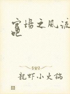 官场之风流人生吧