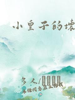 小皇子的坏王妃