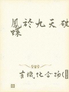 凤于九天破茧成蝶