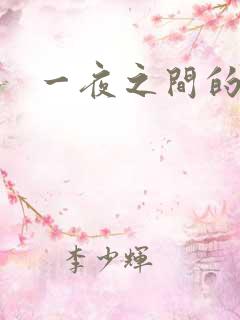 一夜之间的天才