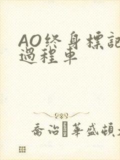 AO终身标记全过程车