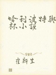 哈利波特与火焰杯小说