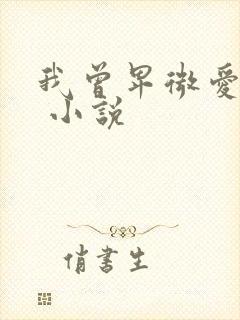 我曾卑微爱过你 小说