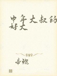 中年大叔的包包好大