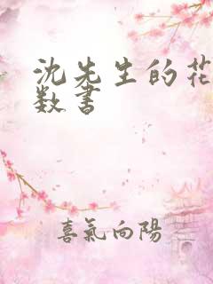 沈先生的花式调数书