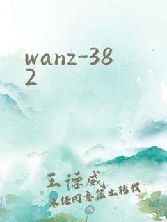 wanz-382