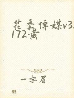 花季传媒v3.172黄