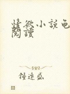 情欲小说龟全文阅读