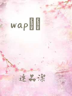 wapС˵
