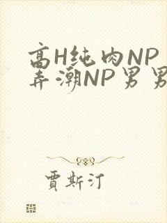 高H纯肉NP 弄潮NP男男