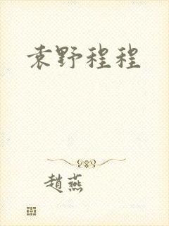 袁野程程