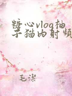 糖心vlog柚子猫内射频