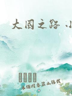 大国之路 小说