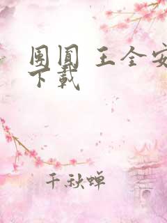 团圆 王全安 下载