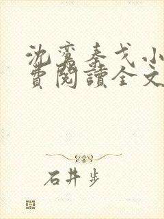 沈鸾秦戈小说免费阅读全文