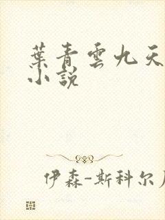 叶青云九天玄宗小说