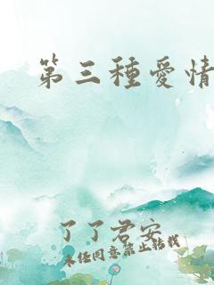第三种爱情续集