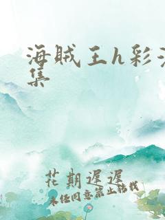 海贼王h彩漫画集