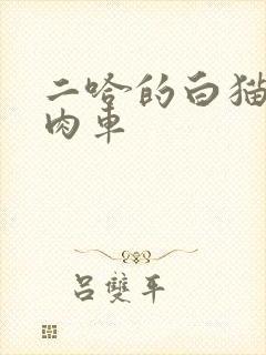 二哈的白猫师尊肉车