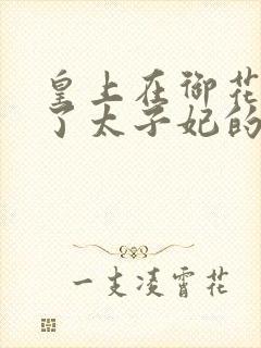 皇上在御花园c了太子妃的网剧