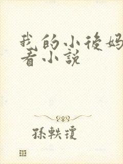 我的小后妈免费看小说