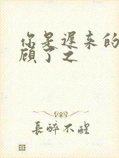 你是迟来的欢喜顾了之