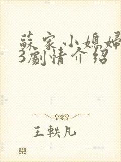 苏家小媳妇1v3剧情介绍