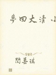 梦回大清 小说
