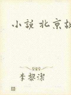 小说 北京故事