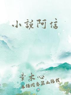小说阿信