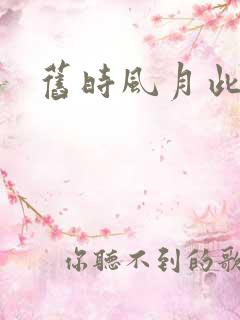 旧时风月此时情