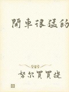 开车很猛的古文