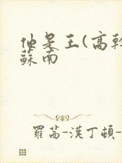 他是王(高干)苏南