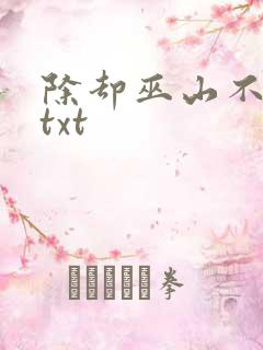 除却巫山不是云txt