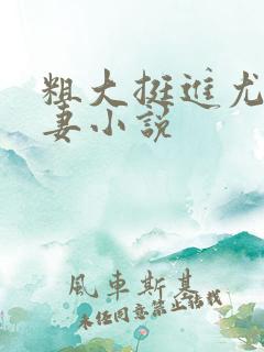 粗大挺进尤物娇妻小说