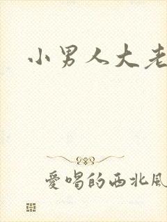 小男人大老婆