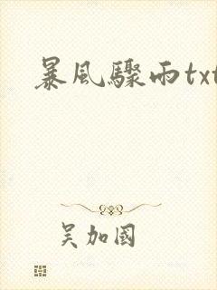 暴风骤雨txt