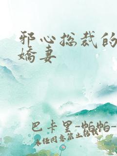 邪心总裁的纯情娇妻