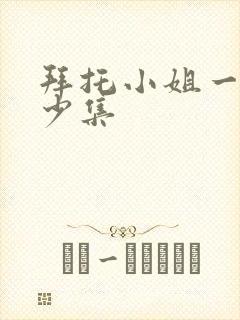 拜托小姐一共多少集