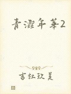 青涩年华2