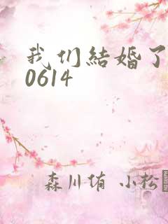 我们结婚了130614
