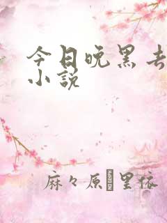 今日晚黑去见你小说